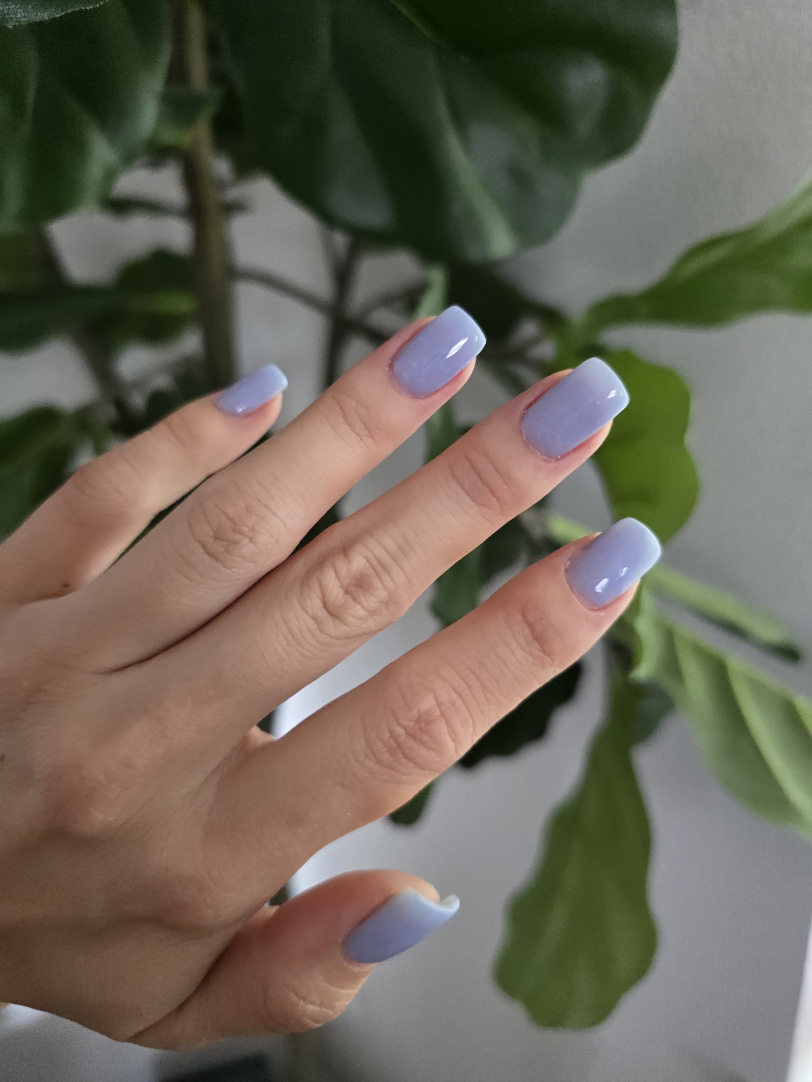 Grand Lux Nails Spa & Lounge nail photo 7